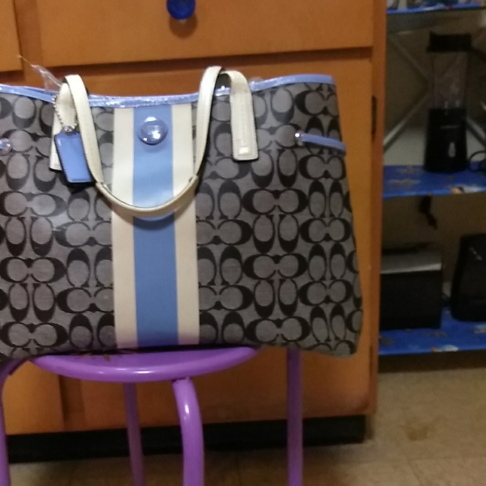 Grey and baby blue coach purse